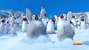 13 reactions | Dance the night away with #HappyFeet2, tonight 7.00pm!  | 9Go! | Facebook
