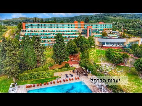 מלון יערות הכרמל - הוטלס