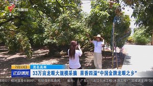 广东卫视-广东台荔枝网