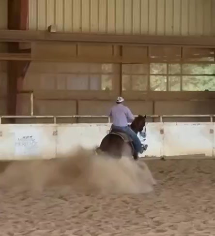 1.5K views · 25 reactions | Super proud of Electric Gunz! This nice Epic Titan colt came through the Young Horse development program last year | Keystone Horsemanship | Facebook