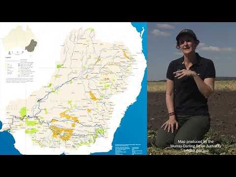 Improving connectivity of habitat corridors and patches - an overview