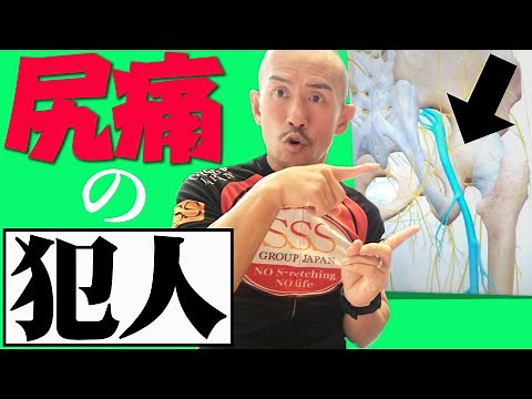 [Nervous System Stretching] Get rid of your butt pain in one go. [Stretching Trainer Kaneko Tadas...