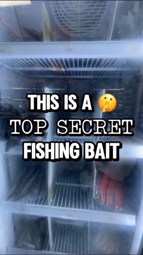 You can FREE fishing stuff at the end! 🐊 🐊 🐊 This bait is potentially the greatest of all time… But let’s be honest, it’s marketed to catch the angler not the fish! 😉 If you find it in the freezer, we’ll give you some stuff for free! #carpfishing #carp #fishing | Bodle Angling