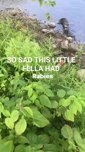 Nate Chamberlain on Reels