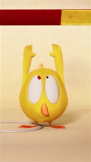 Chicky's Big Circus #chicky | Chicky Cartoon in English for kids