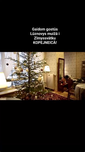 Līdz 7. janvārim Lūznavas muižā ikvienam apmeklētājam ir pieejama Ziemassvētku noskaņu kafejnīca! Rēzeknes novads Rēzeknes novada kultūra un tūrisms Svētku noskaņu uzbūra Katrīna Apeināne un Anna Elīza Drele 03.12.2023. 📷 Dagnija Bernāne foto | Lūznavas muiža - Luznava Manor