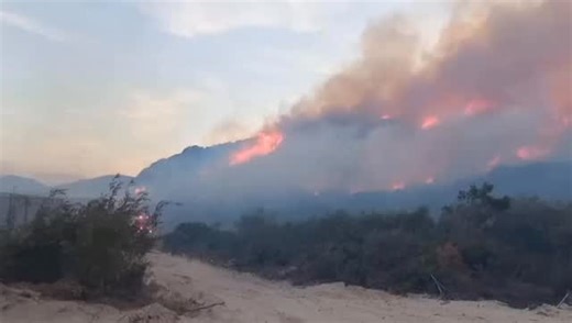 FIRE ALERT 🔥Da Gama Park Fire 🔥 Update from SANParks - Table Mountain National Park Facebook Page: Table Mountain National Park Fire Management and the Volunteer Wildfire Services are assisting the City of Cape Town Fire and Rescue Services as well as the SA Navy with at a fire currently burning in Dido Valley, De Gama Park. The fire is largely burning on Public Works and SA Navy land. . . . City of Cape Town Update *PLS ATTRIBUTE TO FIRE AND RESCUE SERVICES SPOKESPERSON, JERMAINE CARELSE* At 