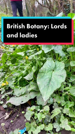 ukecologist on TikTok