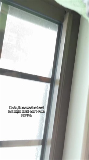 where did they go :( #boston #snow #blizzard #fyp | blizzard snow