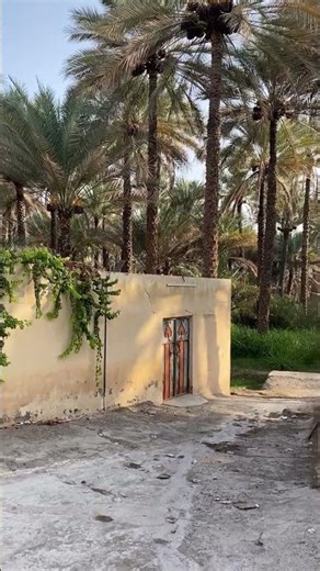 Woh Shehr E Muhabbat - New Naat - Madina Village View - Part 828