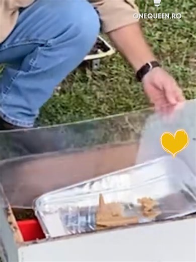 Solar wax melters can be a really cheap alternative to the regular wax melting methods, but as with anything that's really convenient, the return is usually not the same as the usual process For full videos, check these channels: @DonaldFarmHoney - YouTube @WoolieBsApiary - YouTube
