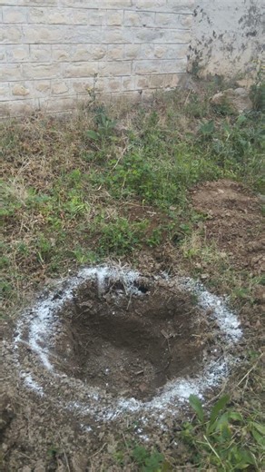 Pits digging|Plantation drive part-2