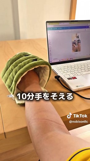 モモンガのベタ慣れ方法｜噛む・鳴く子の段階的トレーニング