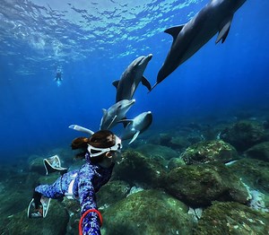 Friends come in all shapes sizes 🐬 GoPro Subscriber Sayaka Muramoto scored $1,000 with this #GoProHERO11 Black submission to the "Get Wet, Get Paid" challenge at GoPro.com/Awards. Our $100,000 awards pool is still up for grabs. Submit your photos videos today for the opportunity to score your share of the cash get featured. | GoPro