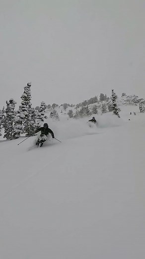22K views · 485 reactions | We will be dreaming of yesterday’s turns for a very long time. With 2️⃣9️⃣5️⃣ inches of snow this season and a 9️⃣3️⃣ inch base, a long season full of great turns is in our future! ❄️ : GoPro | Solitude Mountain Resort | Facebook
