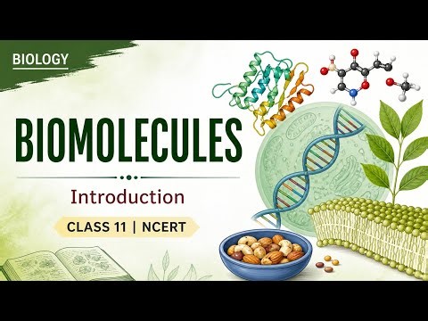 Biomolecules introduction || class 11 biology NCERT || NEET preparation