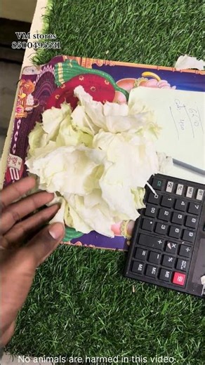 Rabbit in our store 🐇||#rabbits #rabbit #aquariumshop #trendingshorts #petslovers