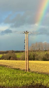 210K views · 63K reactions | Only went and photographed a kestrel with a rainbow today - WHAT IS LIFE 凉 #rainbow #kestrel #birdphoto | Jack Lodge Photography | Facebook