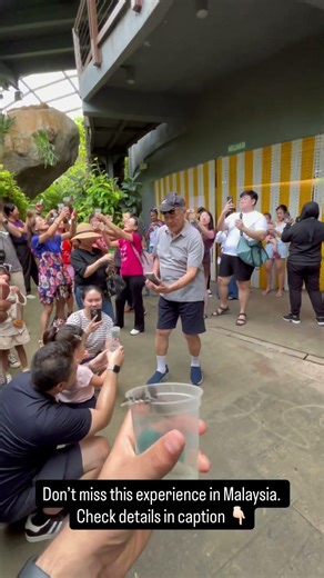 Entopia: butterfly farm in Penang, Malaysia