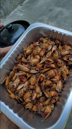Cooking Stink Bugs: A Traditional Chinese Delicacy 👀