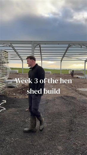 Week 3 of @thorburngroup building the new hen shed🐓🛠️ #henshed #freerangeeggs #farming #hens
