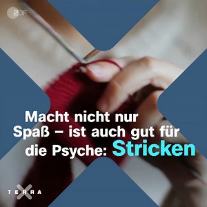 Was macht Ihr an diesem Wochenende? Stricken? Link zur Studie: https://www.tandfonline.com/doi/full/10.1080/14427591.2023.2292281 | Terra X