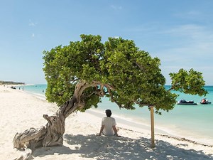 Qué hacer en Aruba - Alan x el Mundo