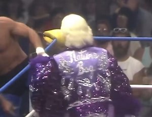 On July 23, 1989 The Great American Bash, produced by World Championship Wrestling (WCW) under the National Wrestling Alliance (NWA) banner, took place in front of 14,500 fans at the Baltimore Arena in Baltimore, Maryland. Although it was the 5th Great American Bash overall, it was the first ever produced as a pay-per-view. In the main event, Ric Flair defended the NWA World Heavyweight Championship against Terry Funk (with Gary Hart). After the match, an all-out-brawl occurs between Flair, Funk