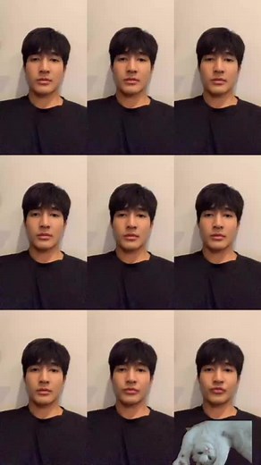 Captivating Pet Toy Manipulation Techniques