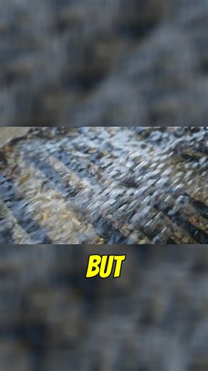 Sluicing gold with the high banker from Crux! | Vo-Gus Prospecting