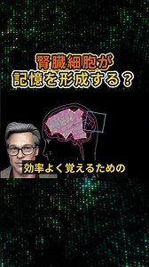 The mechanism of the "learning switch" in cells other than those in the brain