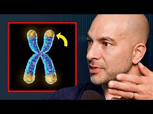The Longevity Framework: 5 Keys To Living Longer - Dr Peter Attia