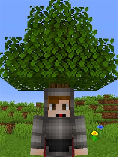 LOS ÁRBOLES DE MINECRAFT EN EL MUNDO REAL! 😲⛏️ #minecraft #gaming #videojuegos #hack