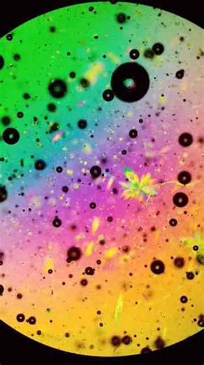 Honey under microscope (polarised light edition)