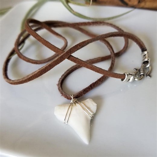 Men's Shark Tooth Necklace - Surfer Necklace - Leather or Sterling Chain - Real Shark Tooth - Beach Jewelry - Gift for Him - Men or Teen - Etsy