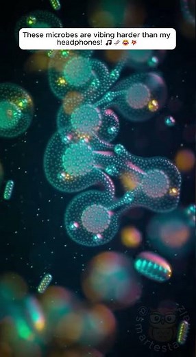 Microbe Vibration Orchestra 🎵🧬 #micro #music #viral