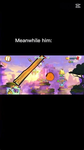 Angry bids 🔝 #funny #viralvideos