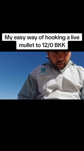 Cómo pescar tiburones con cebo vivo: Trucos y consejos