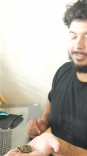 Making beats with my #turtle Franklin! #musicproducer #beats #reels