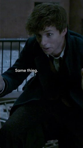 A monkey steals Newt's wand #FantasticBeasts #NewtScamander