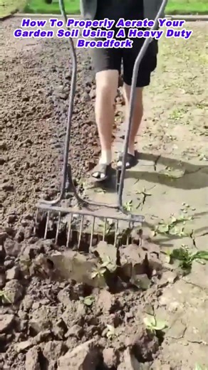 How To Properly Aerate Your Garden Soil Using A Heavy Duty Broadfork