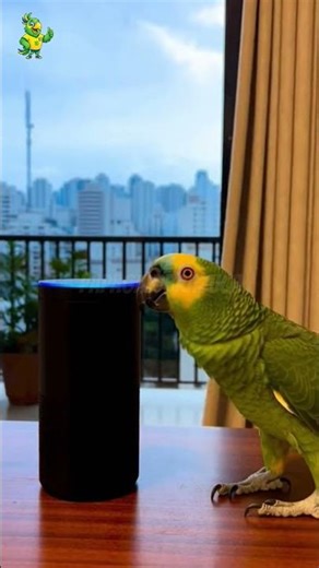 POV: A Alexa finalmente aprendeu a lidar com o seu papagaio folgado. 🦜 #shorts