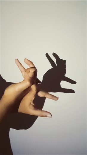 Hand shadow animals #shadow #diy #creativity