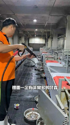 分娩舍裡恆溫、通風良好， 還有充足的食物照顧豬媽媽與新生仔豬， 但也因為環境舒適， 偶爾會吸引一些「不速之客」躲進來👀 因此，每當豬媽媽順利出月子後， 工作人員都會針對整棟畜舍進行全面清潔與消毒， 把環境重新整理到最乾淨、最安全的狀態， 迎接下一批即將生產的豬媽媽。 這些看不見的細節， 都是為了讓每一次新生命的到來， 都能在乾淨、舒適的環境中開始。💚 #Odiva #平埔黑豬 #牧場日常 #分娩舍 #動物照護 #防疫管理 #食品安全 #安心好肉 【01/07-01/14官網優惠活動】 即日起至 1/14， 到 Odiva 官網 下單， 選擇超商取貨 即可享有滿千免運優惠🚚✨ | 平埔黑豬