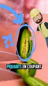 19 astuces du quotidien que tu DOIS connaître !