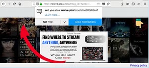 How to remove Wolve.pro pop-ups [Chrome, Firefox, IE, Edge]