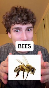 Bees are so important. #bees #science #nature | bee