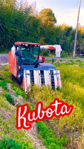 Kubota DR6130 130馬力コンバインで刈り取りSTAR🏃‍♂️#kubota #harvester #harvestermachine #harvesters #combine