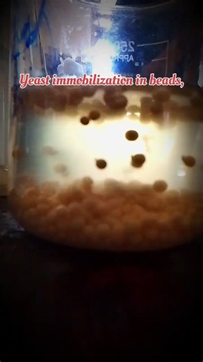 Enzyme/Cell Immobilization | Yeast Cell Immobilization | Enzymatic Immobilization #shorts #trending