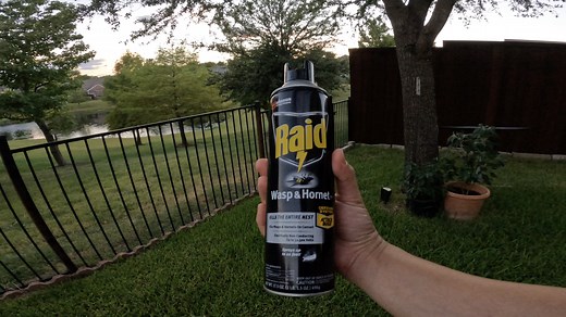Watch SPRAY FAR - Raid Wasp & Hornet Killer Spray on Amazon Live